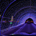 Experience the Magic of Lights in Colorado Springs