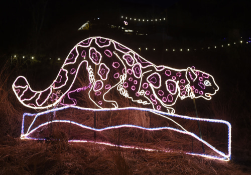 Volunteer at the Magical Festival of Lights in Colorado Springs